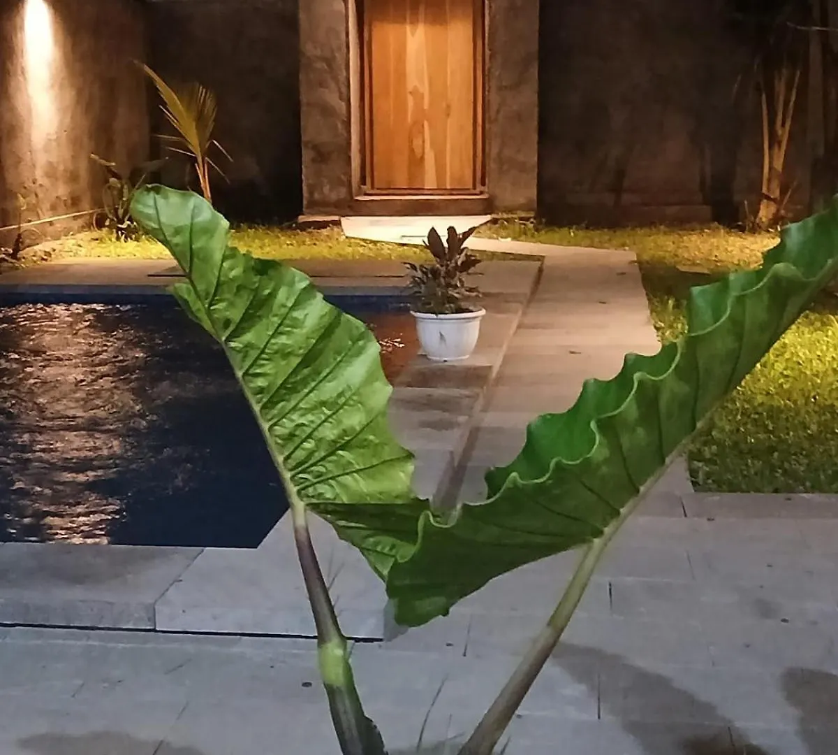 Villa Nyoman Ubud