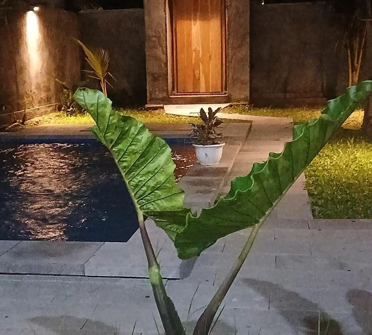 Villa Nyoman Ubud Indonesien